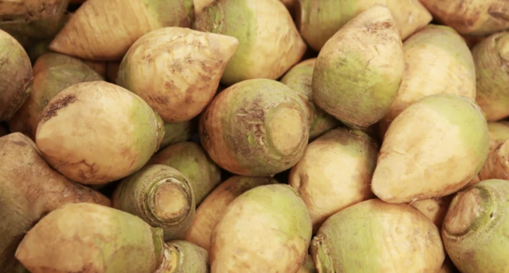 Rutabaga Growing Guide